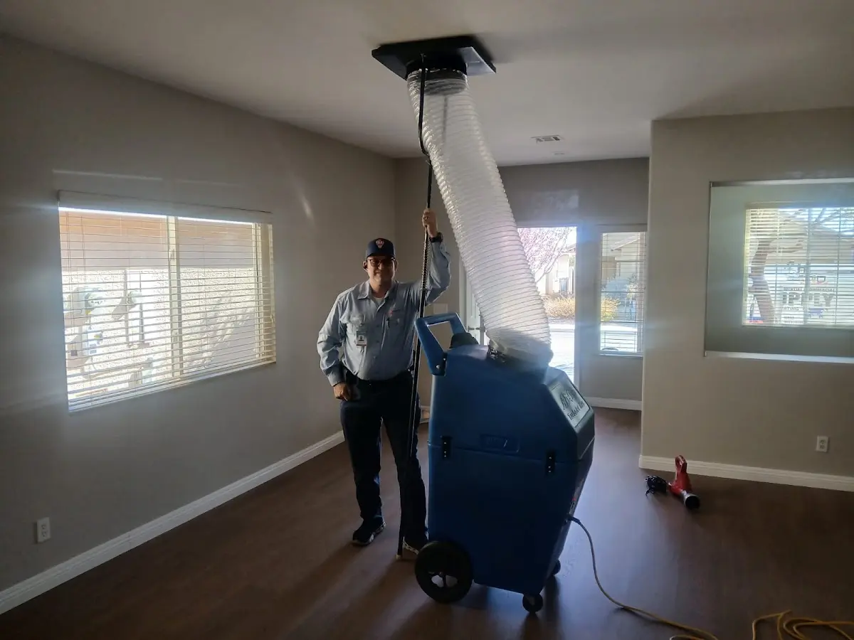 Professional Dryer Vent Cleaning work inside a Trumbull home